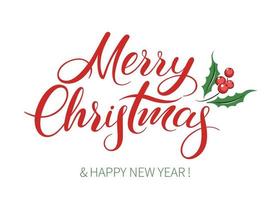 Merry Christmas and New Year holiday lettering on white background. Vector illustration