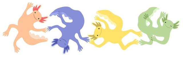 Vector isolated illustration of four colorful axolotls.