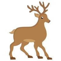 Reindeer  Gift Isolated Vector icon