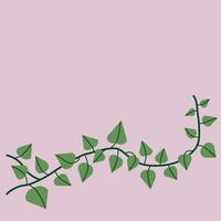 Simplicity ivy drawing flat design. vector