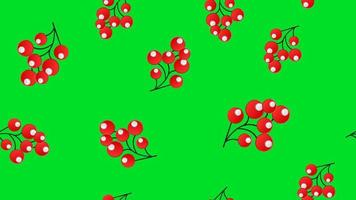 Seamless Pattern Holly, Ilex Branch With Berry And Leaves On White Background. Design Holiday vector