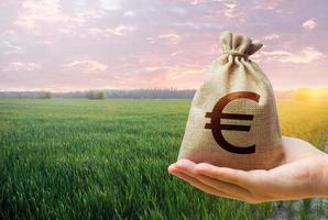 Green meadow field of young wheat and euro money bag. World food security crisis, high prices. World hunger. Grains cereals deficits. Starvation, famine. Agroindustry and the agricultural business. photo