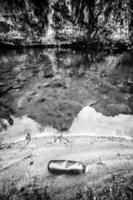 Plastic bottle abandoned on the bank of a river Concept of pollution and environmental sustainability photo