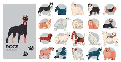 Dog Drawing Outline Collection vector