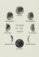 Watercolor moon in all its phases with letterings. New Moon, First Quarter, Third Quarter, Full Moon, Crescent phases vector