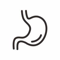 stomach outline style icon vector