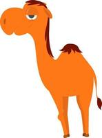 Bored camel ,illustration,vector on white background vector