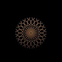 mandala design with abstract shape vector