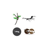 Ant Logo template vector illustration