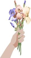 Side view hand holding a bunch of iris flowers, isolated on white background vector