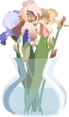 Bunch of blue, pink and yellow irises in round glass vase. Isolated on white background