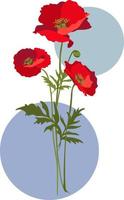 Vector illustration of red poppies bouquet with leaves and stems. Isolated on white background