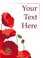 Greeting card vector template with red poppies and copy space. White background