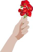 Side view hand holding a bunch of poppy flowers, isolated on white background vector