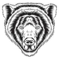 Angry Bear Face Black and White Vector Illustration