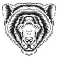 Angry Bear Face Black and White Vector Illustration