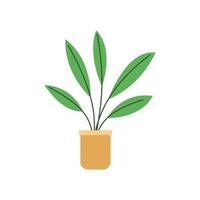 plantas en macetas en un diseño plano de fondo blanco - ilustración vectorial vector