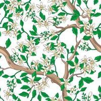 Floral seamless pattern with white flowers. vector