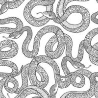 Snakes seamless pattern. vector