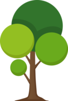 illustration de l'arbre png