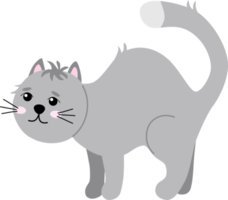 Cute cartoon grey cat png