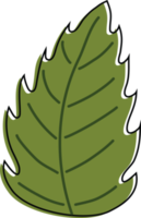 Cute cartoon green leaf of red berry strawberry png