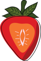 Half of strawberry. Cute cartoon red berry. png