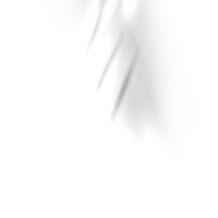 ljus effekt lins bloss png