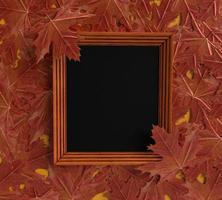 Autumn spring maple leaf frame red design retro season symbol decoration ornament happy halloween harvest forest background 31 thirty one october november photo