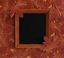 Autumn spring maple leaf frame red design retro season symbol decoration ornament happy halloween harvest forest background 31 thirty one october november photo