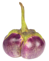 Fresh Thai Purple round eggplant isolated png