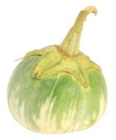 Thai eggplant isolated png
