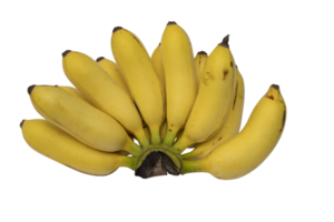 cacho de bananas amarelas maduras isoladas no fundo png