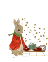 An illustration of a Christmas rabbit in the classic Christmas colors red and green png