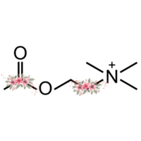 Aesthetic Chemistry Art png