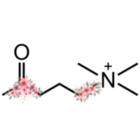 Aesthetic Chemistry Art png