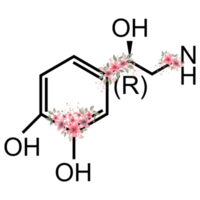 Aesthetic Chemistry Art png