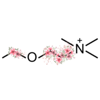 ästhetische chemie kunst png