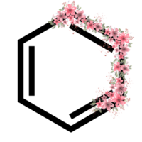 art de la chimie esthétique png