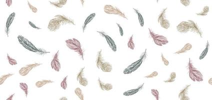 Feathers on white background. Hand drawn sketch style. vector