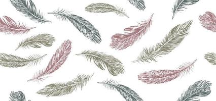 Feathers on white background. Hand drawn sketch style. vector