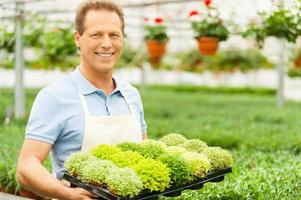 Working with flowers. Handsome mature man holding a potted plant and smiling at camera while standing in green house photo