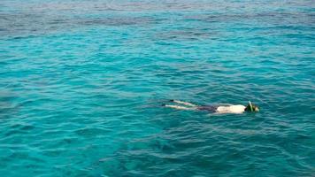 jovem mergulhando perto das ilhas similan video