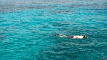 Junger Mann schnorchelt in der Nähe der Similan-Inseln video