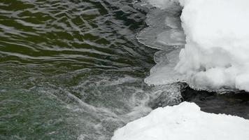Arroyo de invierno en el parque nacional belokurikha, altai, federación rusa video