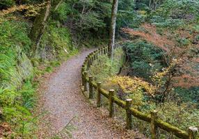Hiking trail at Minoo or Minoh national park in autumn, Osaka, Japan photo