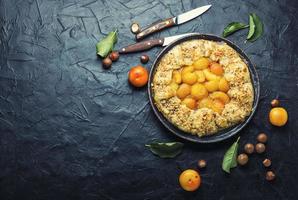 Autumn pie or biscuit with plum,space for text photo