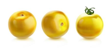 Tomato cherry, yellow tomatoes with green stalk vector