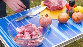 mann paprika fleisch, bereitet grill beim picknick vor video