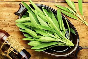 Sage in herbal medicine,top view photo